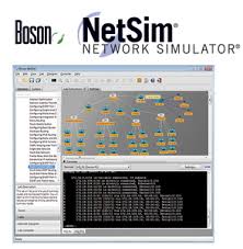 boson netsim 11 activation key